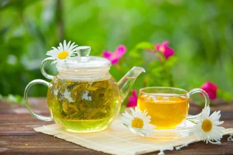 Green tea with chamomile in cup Stock Photos