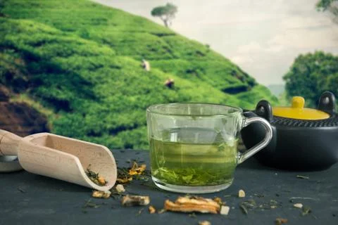 Green tea cup Stock Photos