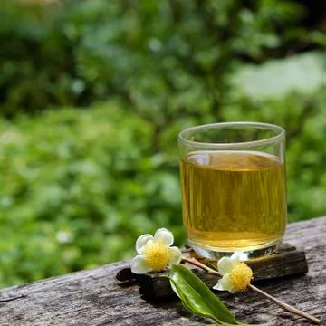 Green tea cup, tea leaf Stock Photos