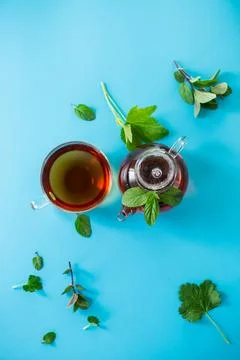Green tea from currant and mint leaves in a glass teapot Stock Photos