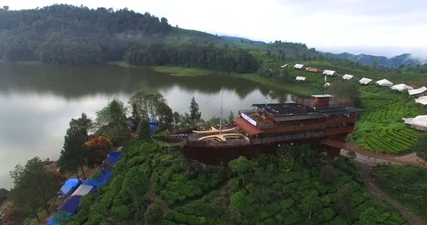 Green tea field and lake Stock-Footage 125367953