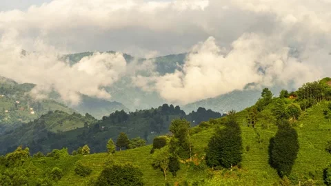 Green Tea Fields and Cloud Movements Vídeo Stock 334729094