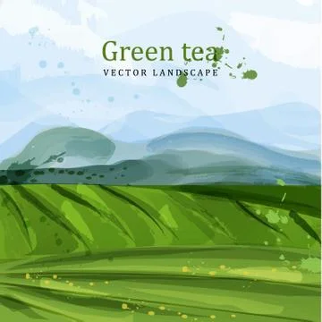 Green tea fields watercolor background Vector. Nature mountains views. Organi イラスト素材