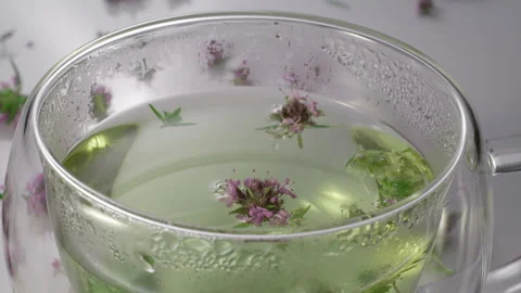 Green tea with freshly picked herbs is a healthy and relaxing drink. Stock Footage 310132017