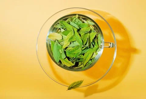 Green tea freshness Stock Photos