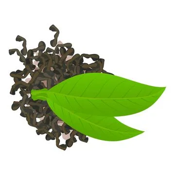 Green tea icon isometric vector. Fresh green and dried leaf of tea bush icon Stock Illustration