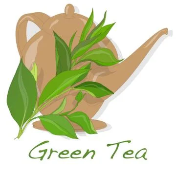 Green tea leaf vector Stock Illustration
