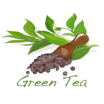 Green tea leaf vector Stock Illustration