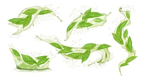 Green tea. Leaf in water splash, 3d tree and liquid in motion with drops Stock Illustration