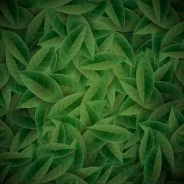 Green tea leaves background Stock Illustration