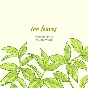 Green tea leaves Stock Illustration