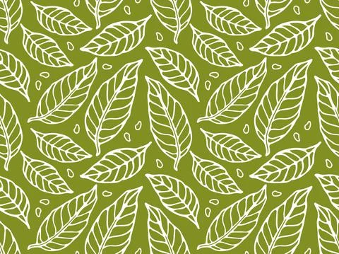 Green Tea leaves seamless pattern. Hand drawn Leaves sketch. White linear leaves Stock Illustration