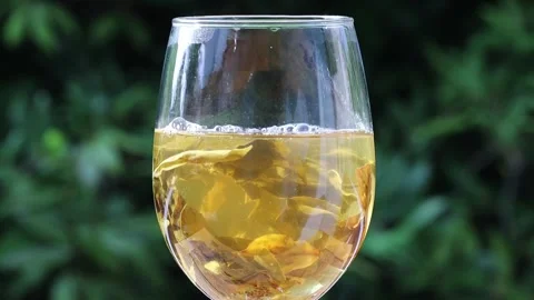 Hot Tea Splash Stock Videos – Royalty-Free HD & 4K Videos