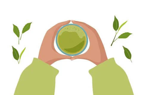 Green tea matcha. Two hands holding cup of traditional Japanese drink. Flat lay Illustrazione stock