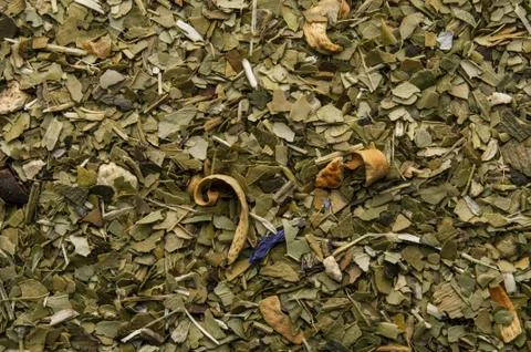Green tea mate Stock Photos