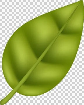 Green tea, mint, green leaf on transparent png. Green Twigs and Branches wi.. Stock Illustration