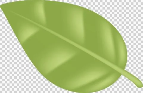 Green tea, mint, green leaf on transparent png. Green Twigs and Branches wi.. Stock Illustration