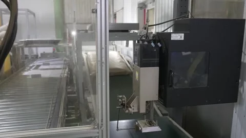 Green Tea Packages Advancing Along a Factory Conveyor Vidéo 340009858
