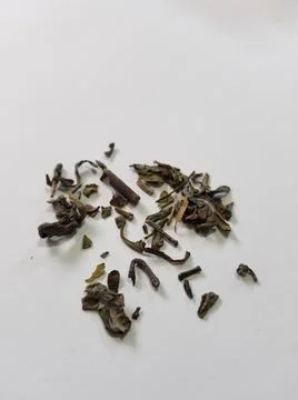 Green tea Stock Photos