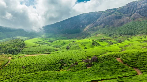 Munnar Tourism Stock Footage ~ Royalty Free Stock Videos | Pond5