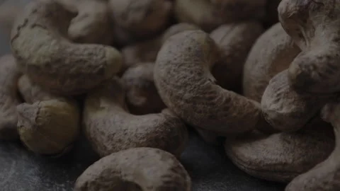 Green tea powder Stock Footage 305425798