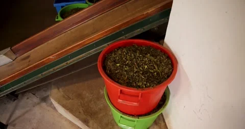 A green tea processing factory in a warehouse with machinery for drying and.. Stock Footage 330413590