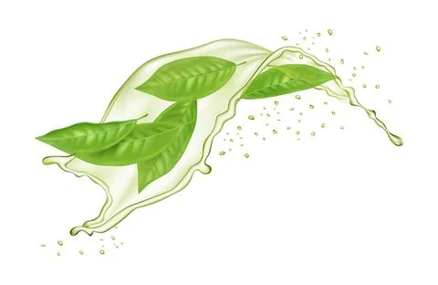 Green tea. Realistic isolated design element transparent liquid splashes in Stock Illustration