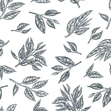 Green tea seamless vector pattern. Sketch hand drawn illustration of leaves a Stock Illustration