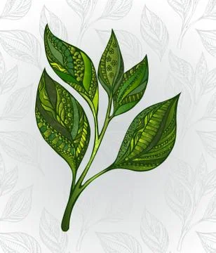 Green tea sprout Stock Illustration