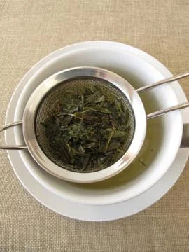 Green tea in tea strainer Stock Photos