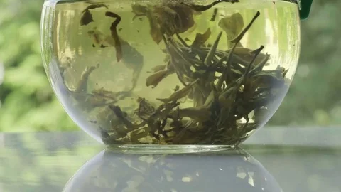 Green tea in teapot. Stock Footage 76988441