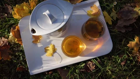 Green tea in a teapot on the grass Stock Footage 256623395