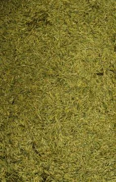 Green Tea Texture Stock Photos