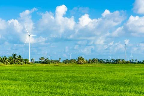 Green technology concept. Wind generators in field at Hua Sai District,  Nakh Stock Photos