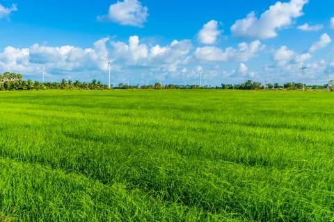 Green technology concept. Wind generators in field at Hua Sai District,  Nakh Stock Photos
