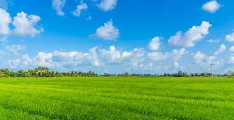 Green technology concept. Wind generators in field at Hua Sai District,  Nakh Stock Photos