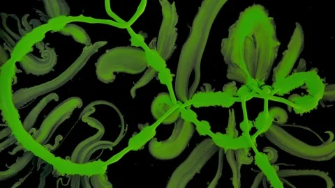 Green tendrils forming 스톡 동영상 330444538