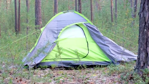 Green tent in forest among pine trees, camping concept. Stock Footage 249576616