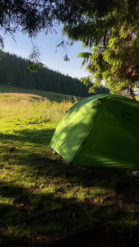 Green tent in the forest Stock Footage 246590666