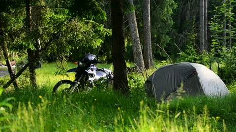 Green tent set up into wild forest in summer season 스톡 동영상 64597918