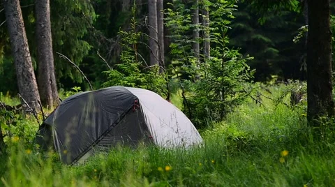 Green tent set up into wild forest in summer season Stock-Footage 64597927