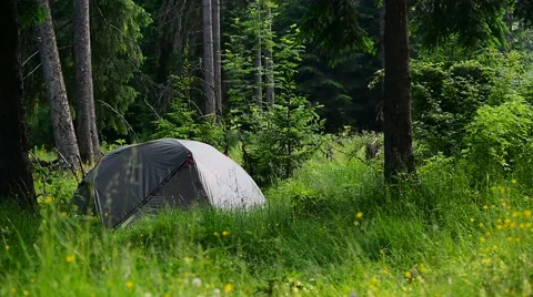 Green tent set up into wild forest in summer season Stock Footage 64597928
