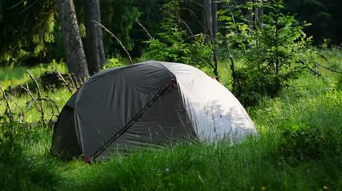 Green tent set up into wild forest in summer season Stock-Footage 64597933