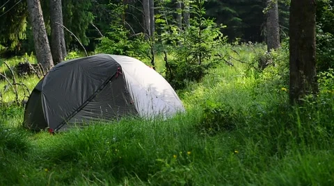 Green tent set up into wild forest in summer season Vídeo Stock 64597940