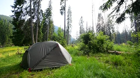 Green tent set up into wild forest in summer season Video stock 64597942