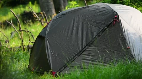 Green tent set up into wild forest in summer season Stock-Footage 64597985