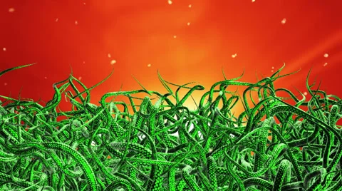 Green tentacles Stock Footage 38765138