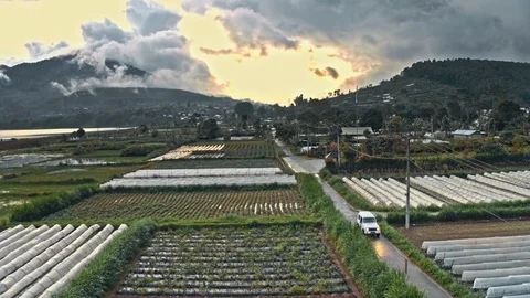 Green Terraced Field Video stock 86746259