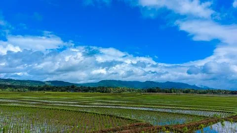 Green terraced fields and cloudy sky in rural landscape Stock Photos