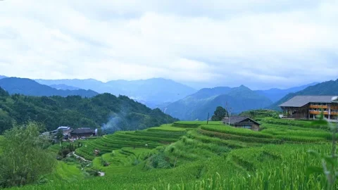 Green terraced rice fields in a mountain valley during summer season Video stock 342278966